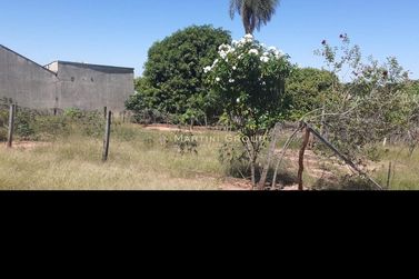 Terreno &agrave; venda - 7000m&sup2; - Jardim Campo Belo