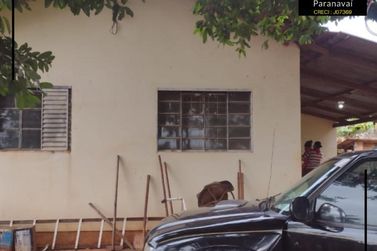 Ch&aacute;cara &agrave; venda - 5000m&sup2; - Vila Rural S&atilde;o Jo&atilde;o