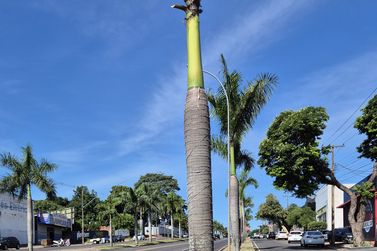 Sal&atilde;o Comercial &agrave; venda - 250m&sup2; - Centro