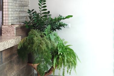 Casa &agrave; venda - 220m&sup2; - Pr&oacute;x Restaurante Dallmann