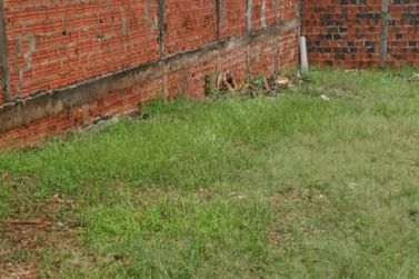 Terreno &agrave; venda - 200m&sup2; - Jardim Simone II