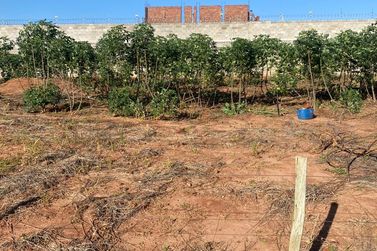 Terreno &agrave; venda - 450m&sup2; - Joao bergamini