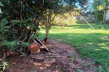 Ch&aacute;cara &agrave; venda - 3064m&sup2; - Parque Morumbi