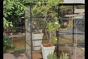 Casa &agrave; venda - 1350m&sup2; - Nova Londrina 
