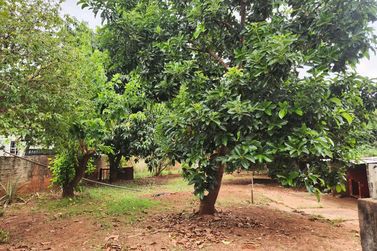Sobrado &agrave; venda - 340m&sup2; - Jardim Ip&ecirc;