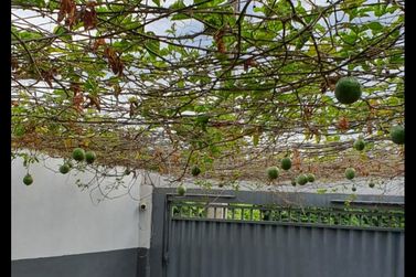 Casa &agrave; venda - 600m&sup2; - Centro