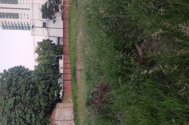 Terreno &agrave; venda - 637m&sup2; - CENTRO