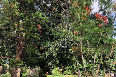 Ch&aacute;cara &agrave; venda - 270m&sup2; - Jardim S&atilde;o Jorge