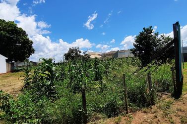 Terreno &agrave; venda - 1200m&sup2; - Vila S&atilde;o Vicente