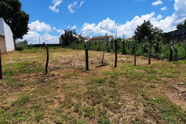 Terreno &agrave; venda - 1200m&sup2; - Vila S&atilde;o Vicente