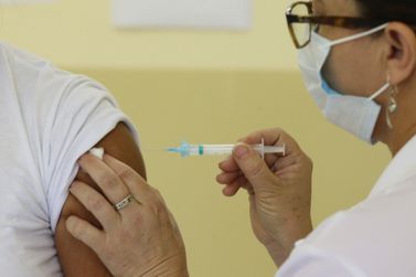 Vacinação contra dengue: 30 cidades do Paraná vão receber o imunizante