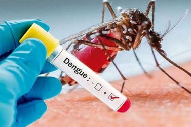 Pato Bragado alerta população sobre casos de dengue