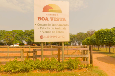 Fazenda Boa Vista é referência em produção de feno e silagem de alta qualidade