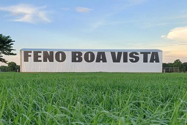 Feno Boa Vista oferece pr&eacute;-secado para garantir nutri&ccedil;&atilde;o e produtividade animal