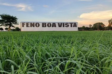 Feno Boa Vista destaca atua&ccedil;&atilde;o no Dia da Pecu&aacute;ria