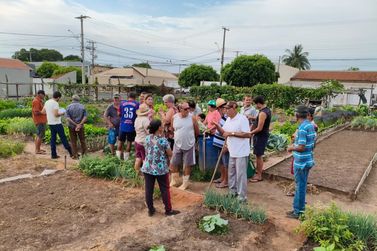 Parceria garante apoio t&eacute;cnico para o projeto Hortas Comunit&aacute;rias