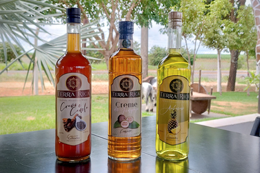 Engenho Terra Rica coloca Pen&aacute;polis na rota tur&iacute;stica da cacha&ccedil;a de SP