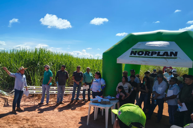 NORPLAN apresenta novas tecnologias para o setor canavieiro em Glic&eacute;rio