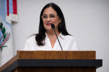 C&acirc;mara cobra informa&ccedil;&otilde;es sobre atendimento psicol&oacute;gico infantil