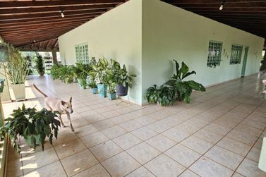 Ch&aacute;cara &agrave; venda - 5000m&sup2; - Lajeado