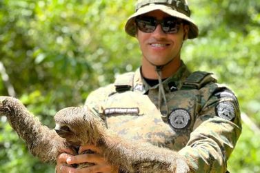 Bicho-pregui&ccedil;a: mestre da calmaria e s&iacute;mbolo da natureza em risco