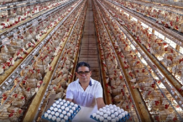 Eun&aacute;polis lidera produ&ccedil;&atilde;o de ovos na Bahia com 27 milh&otilde;es de d&uacute;zias em 2024