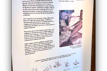 Museu de Arqueologia de Porto Seguro recebe exposi&ccedil;&atilde;o &ldquo;Fragmentos do Passado&rdquo;