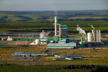Trabalhadores da Veracel iniciam greve ap&oacute;s empresa recusar renova&ccedil;&atilde;o de acordo 