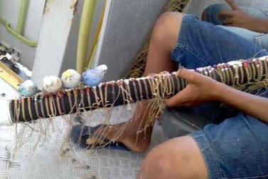 Trabalho infantil ainda &eacute; realidade e preocupa moradores de Porto Seguro