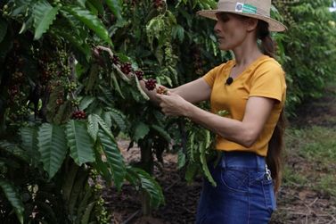 Produtoras de café de Rondônia são finalistas em concurso nacional