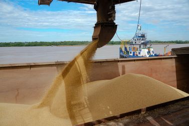 Maior produtora de soja de RO, Capital se consolida como nova fronteira agrícola