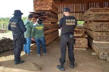 PF intensifica fiscalização contra a extração ilegal de madeira em Rondônia