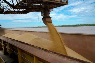 Porto Velho registra crescimento expressivo na produção de soja 