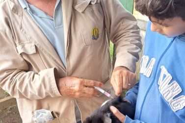 Prefeitura realiza vacinação antirrábica na zona rural de Porto Velho