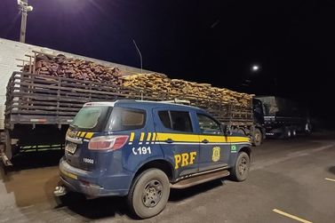 PRF apreende carregamento ilegal de madeira em Porto Velho