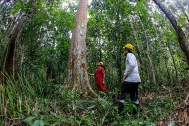 "Rondônia Sustentável" apresenta estratégias para conservação ambiental