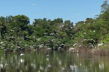 Prefeitura amplia fomento ao turismo comunit&aacute;rio na Resex Lago do Cuni&atilde;