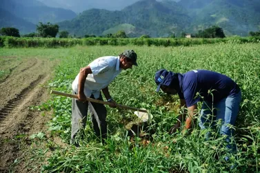 Governo de RO lan&ccedil;a edital para a compra de alimentos da agricultura familiar