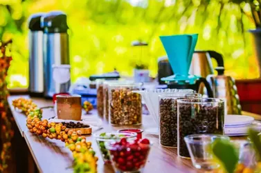 Sefin lan&ccedil;a chamamento p&uacute;blico para aquisi&ccedil;&atilde;o de caf&eacute; robusta amaz&ocirc;nico