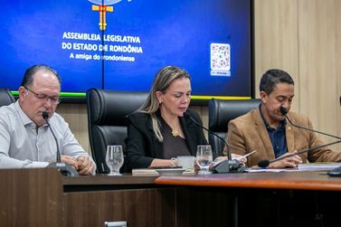 CPI do Leite define nova etapa de trabalho 