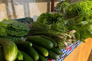 Governo abre edital de R$ 2,8 milh&otilde;es para compra de alimentos da agricultura familiar