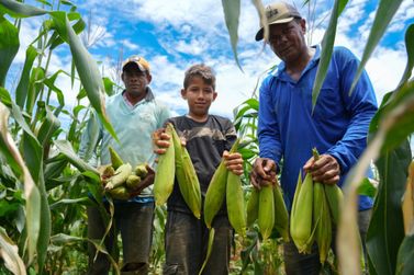Milho e caf&eacute; fortalecem agricultura familiar e movimentam economia com apoio ao produtor