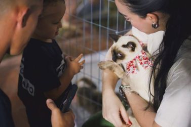 2&ordf; Edi&ccedil;&atilde;o do Empreende Pet movimenta a capital com empreendedorismo e ado&ccedil;&atilde;o respons&aacute;vel 