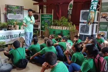 Estado promove tr&ecirc;s dias de programa&ccedil;&atilde;o na Semana do Meio Ambiente 2026