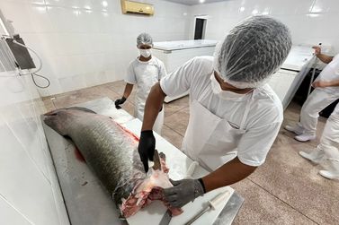   Porto Velho fortalece cadeia do pescado e amplia certifica&ccedil;&atilde;o de agroind&uacute;strias