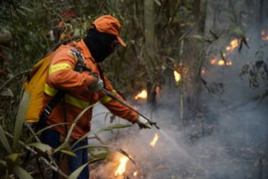 &Uacute;ltimo dia para disputar 270 vagas de brigadista em 18 munic&iacute;pios de Rond&ocirc;nia