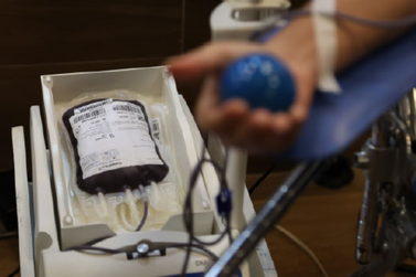   Hemorrede de Rond&ocirc;nia faz apelo por doa&ccedil;&otilde;es de sangue diante da baixa nos estoques