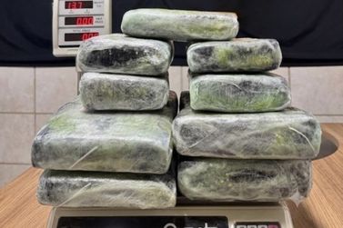 PF apreende 13 kg de entorpecente no aeroporto de Porto Velho