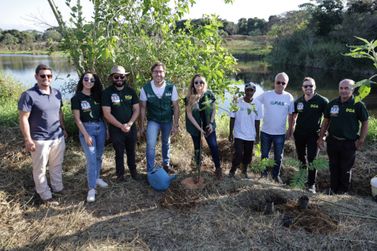 Programa de reflorestamento inicia plantio de 9 mil árvores em Pouso Alegre