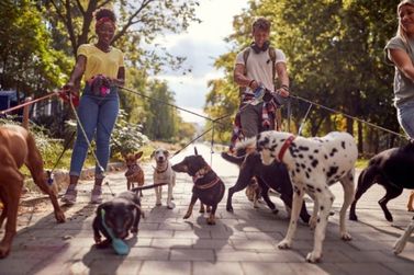 Manh&atilde; de domingo tem corrida e &ldquo;c&atilde;ominhada&rdquo; na Pra&ccedil;a Municipal de Esportes de PA
